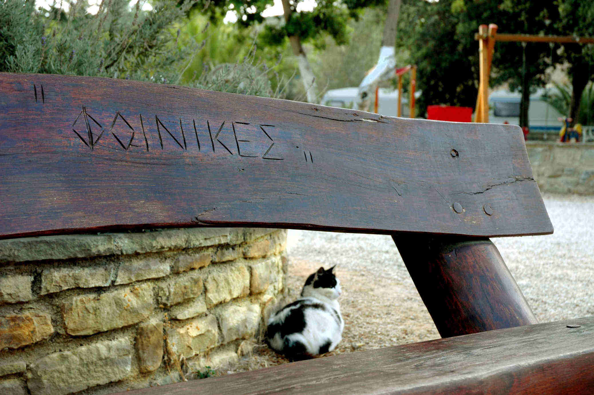 Wooden bench